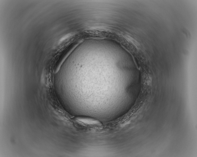 X0000111040965200907161341