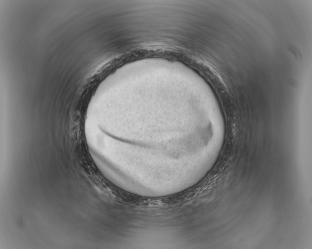 X0000111040968200907161341