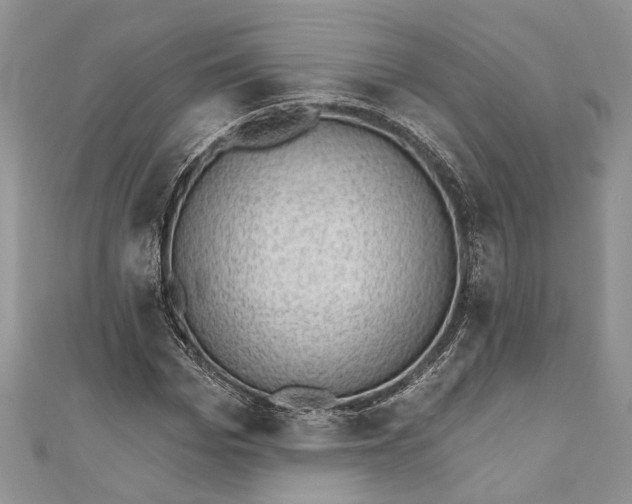 X0000111040969200907161341