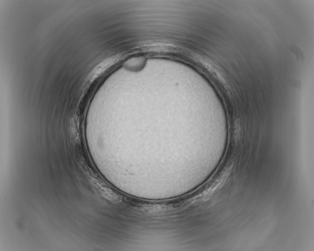 X0000111040970200907161341