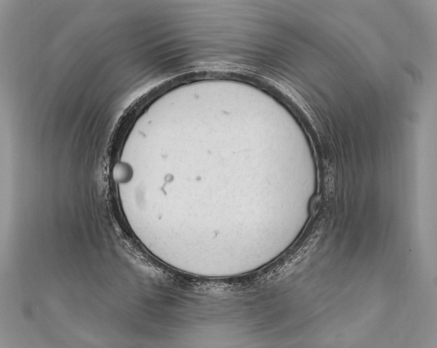 X0000111040971200907161341