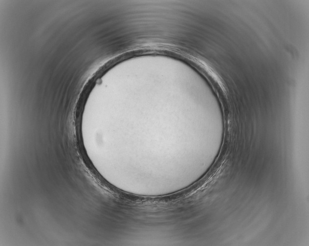 X0000111040972200907161341