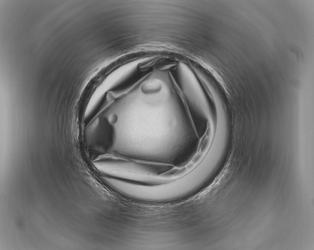 X0000111040973200907161341