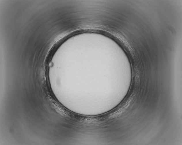 X0000111040974200907161341