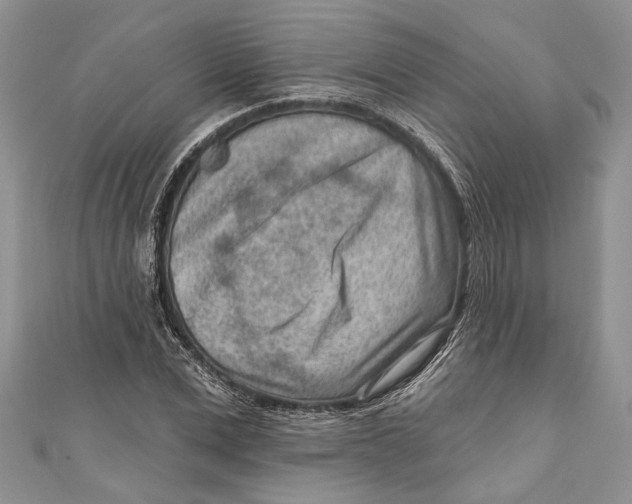 X0000111040975200907161341