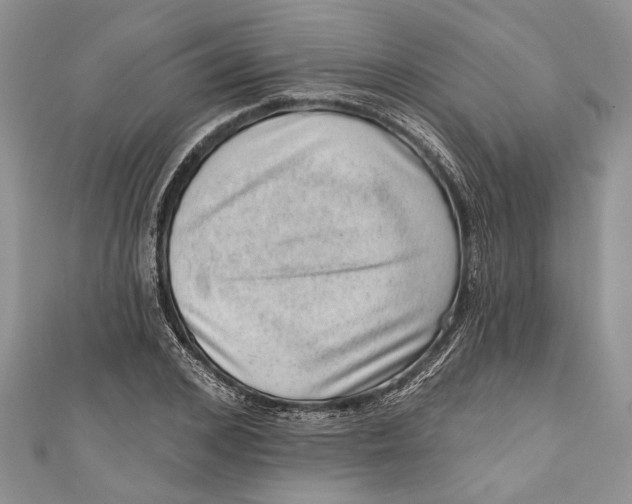 X0000111040976200907161341