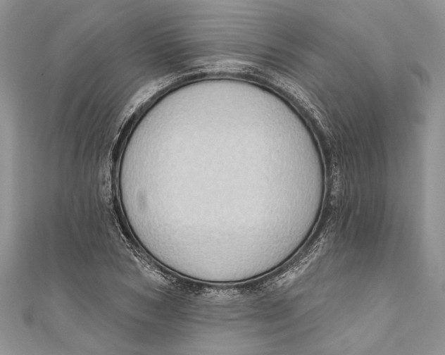 X0000111040978200907161341