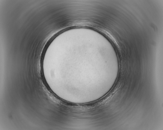 X0000111040980200907161341