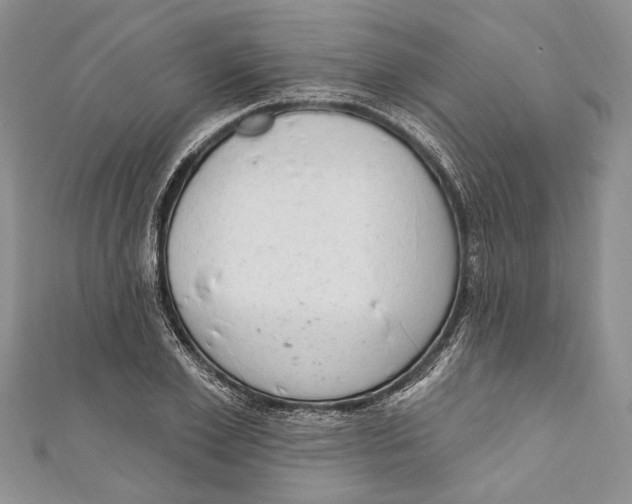 X0000111040981200907161341