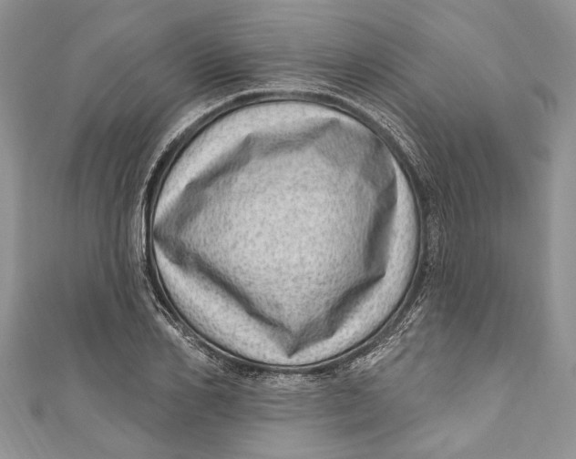 X0000111040982200907161341