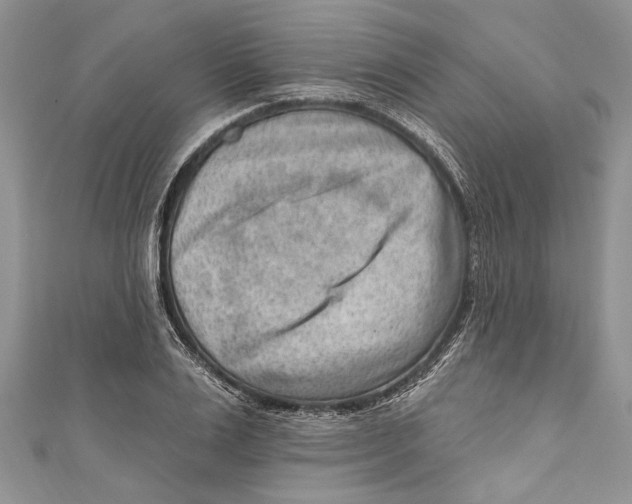 X0000111040983200907161341