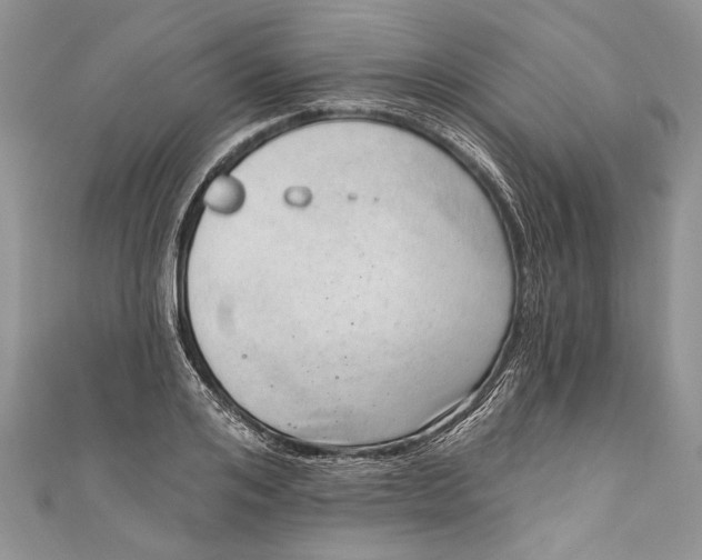 X0000111040984200907161341