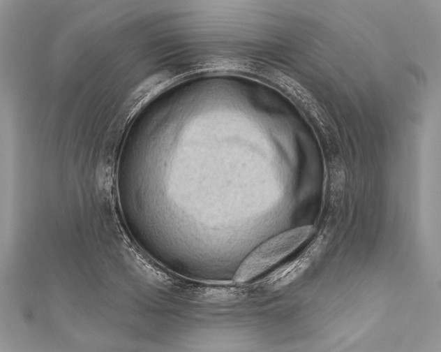 X0000111040985200907161341