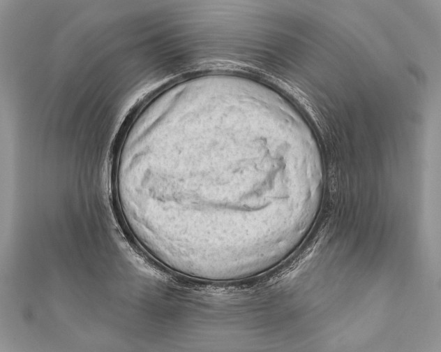 X0000111040987200907161341