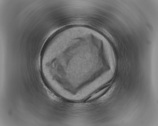 X0000111040988200907161341