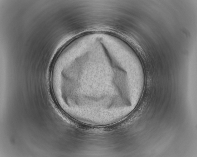 X0000111040990200907161341