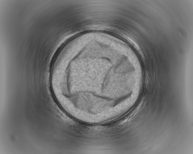 X0000111040992200907161341