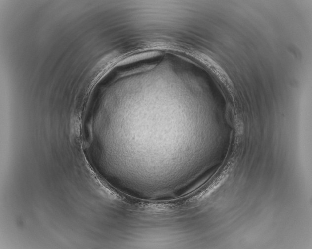 X0000111040993200907161341