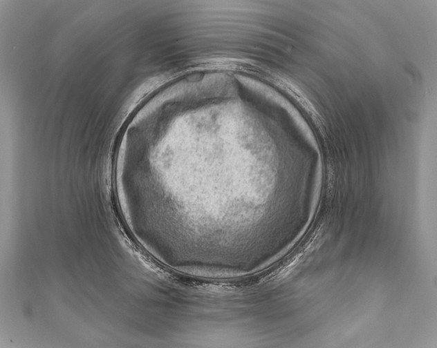 X0000111040994200907161341