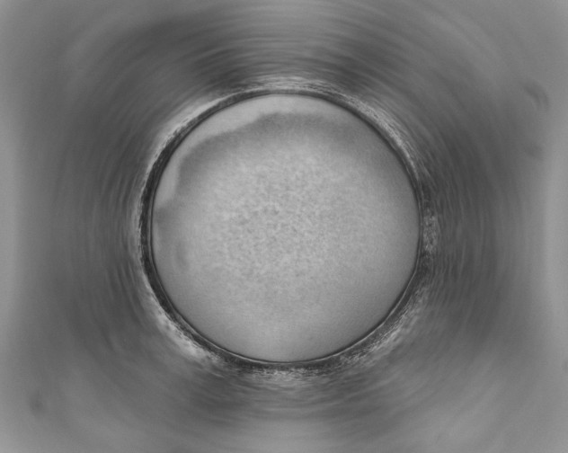 X0000111040995200907161341