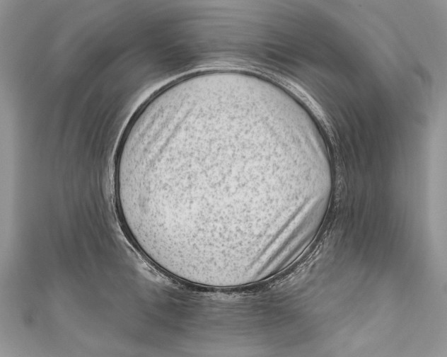 X0000111040996200907161341