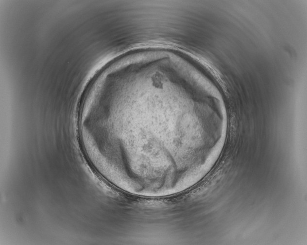 X0000111040998200907161341