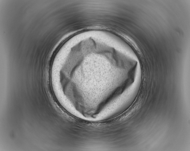 X0000111041000200907161341