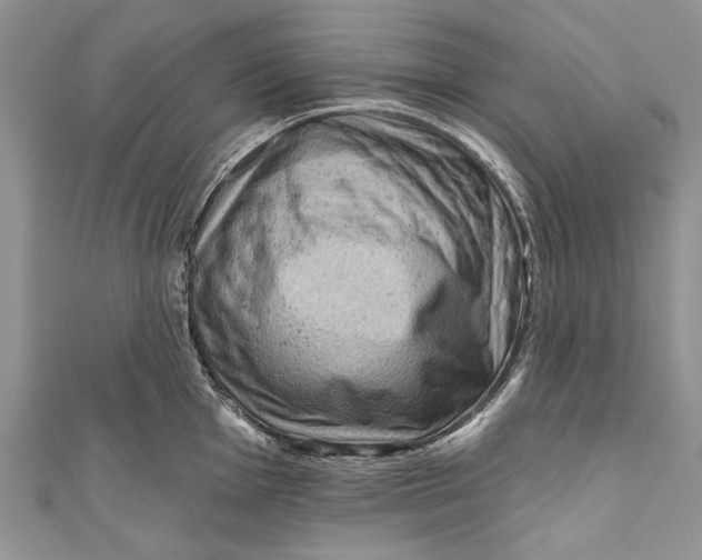 X0000111041001200907161341