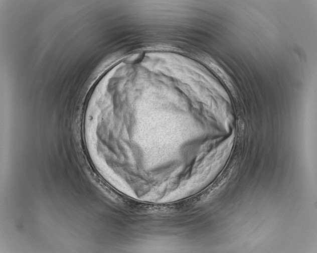 X0000111041002200907161341