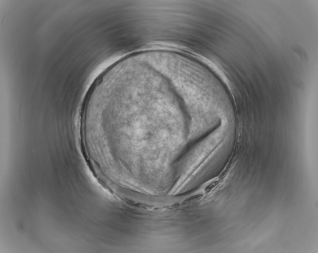 X0000111041003200907161341