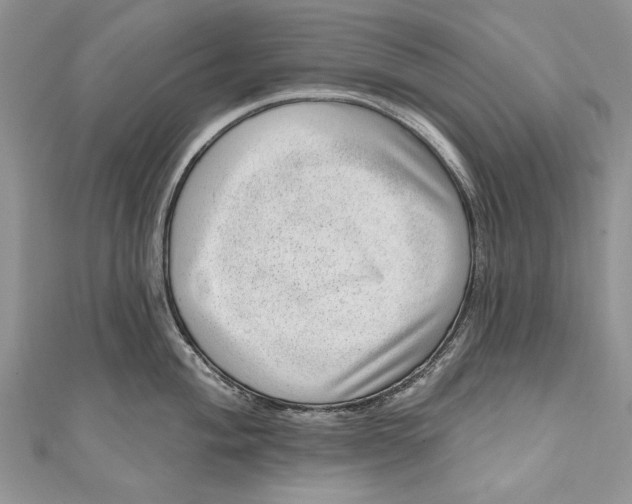 X0000111041004200907161341