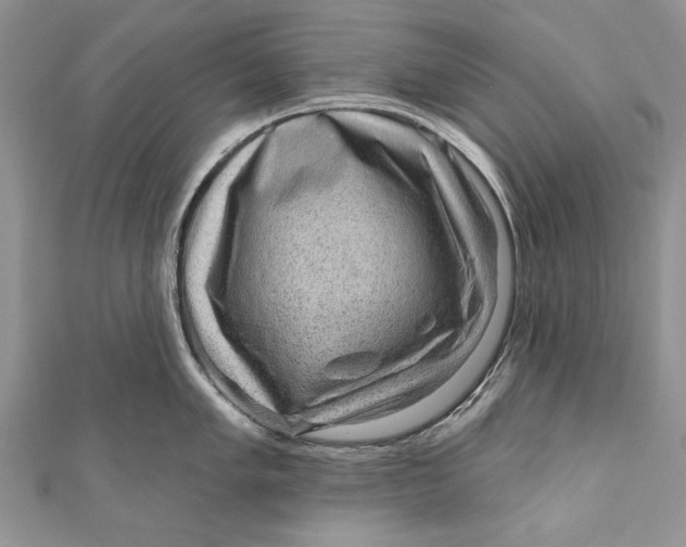 X0000111041005200907161341