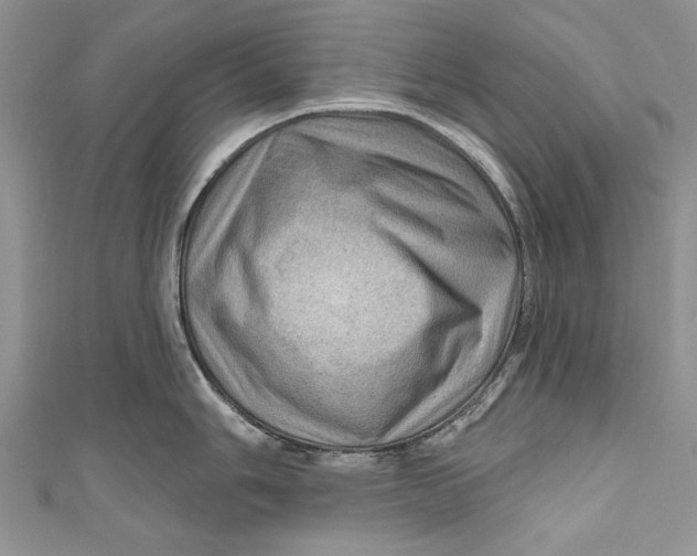 X0000111041006200907161341