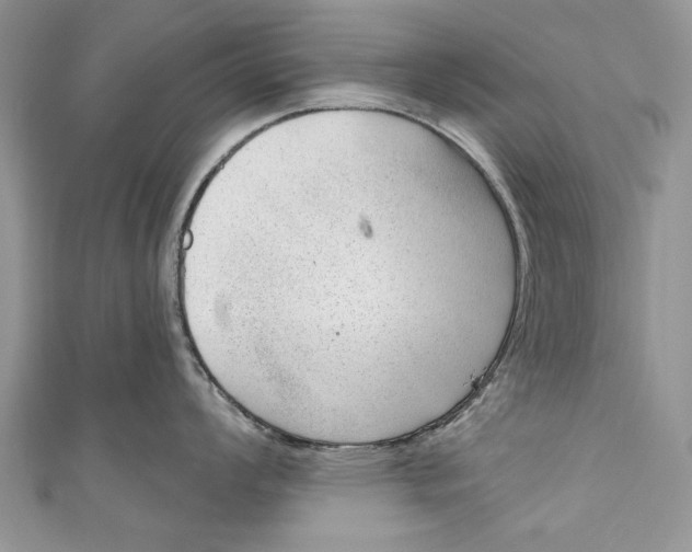 X0000111041008200907161341