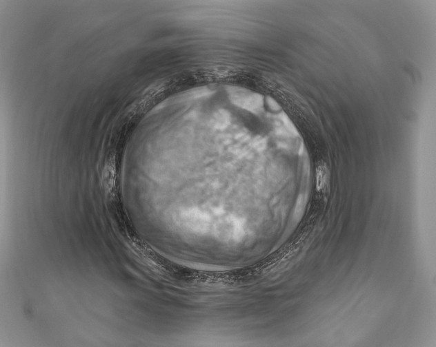 X0000111041011200907161340