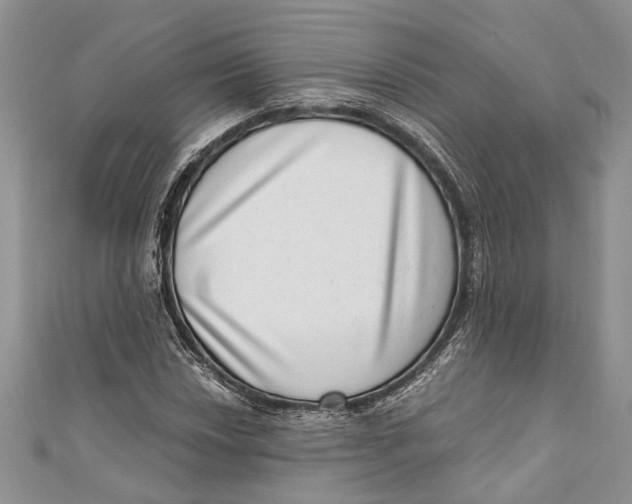 X0000111041018200907161340