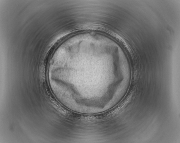 X0000111041019200907161340