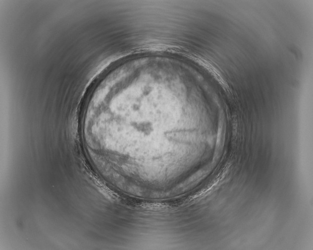 X0000111041023200907161340