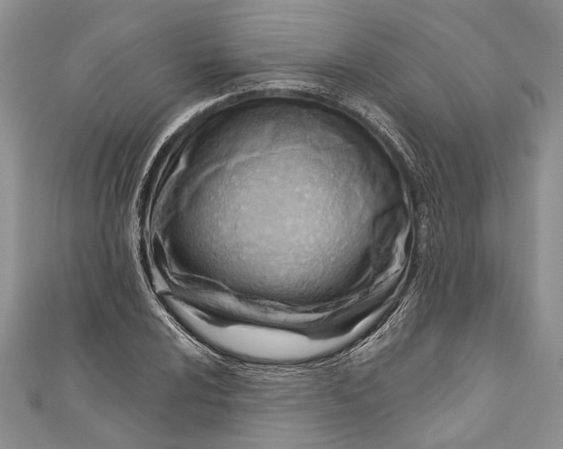 X0000111041024200907161340