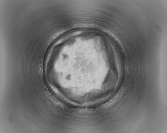 X0000111041025200907161340