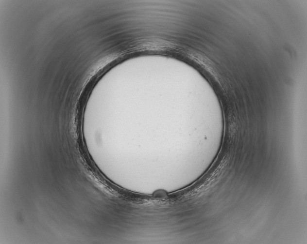 X0000111041026200907161340