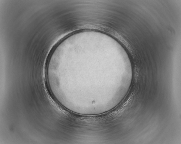 X0000111041028200907161340