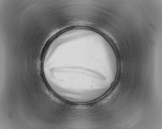 X0000111041029200907161340