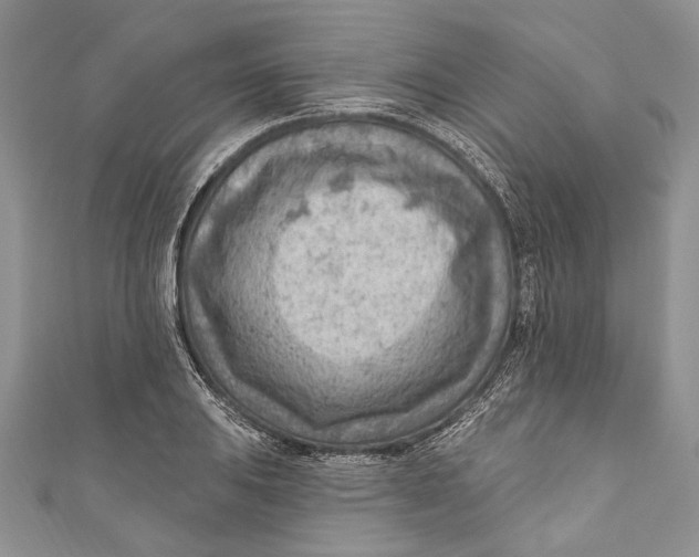 X0000111041031200907161340