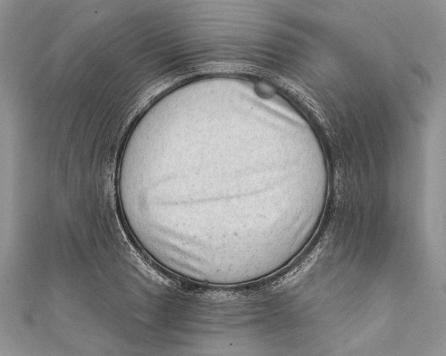 X0000111041033200907161340