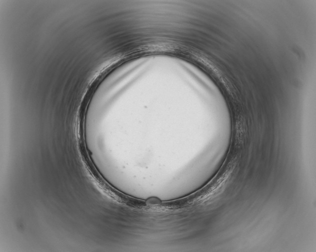 X0000111041034200907161340