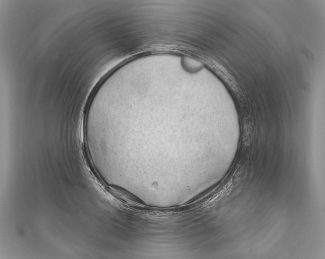 X0000111041036200907161340