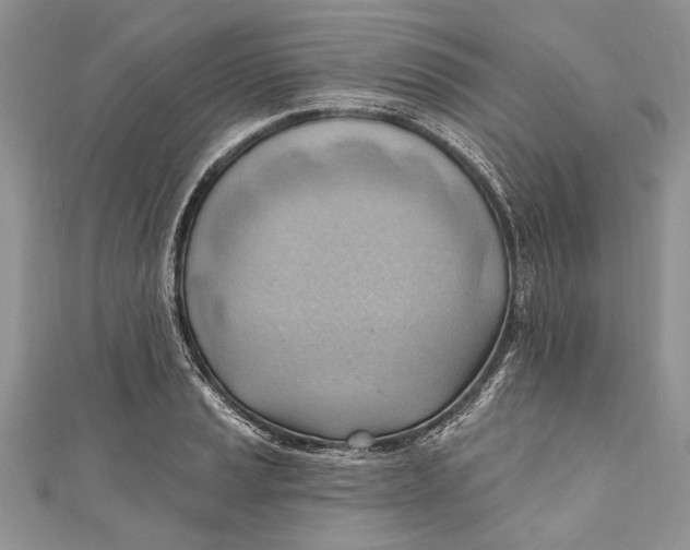 X0000111041037200907161340