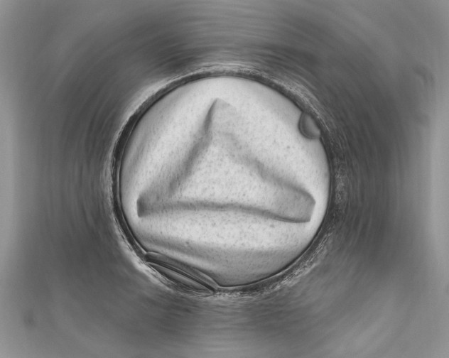 X0000111041038200907161340