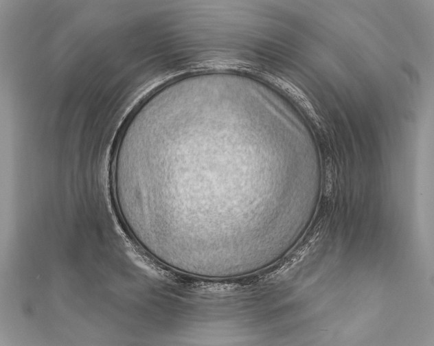 X0000111041039200907161340